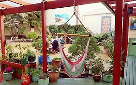 Bazil'S Backpackers Bbh Hostel & Surf School